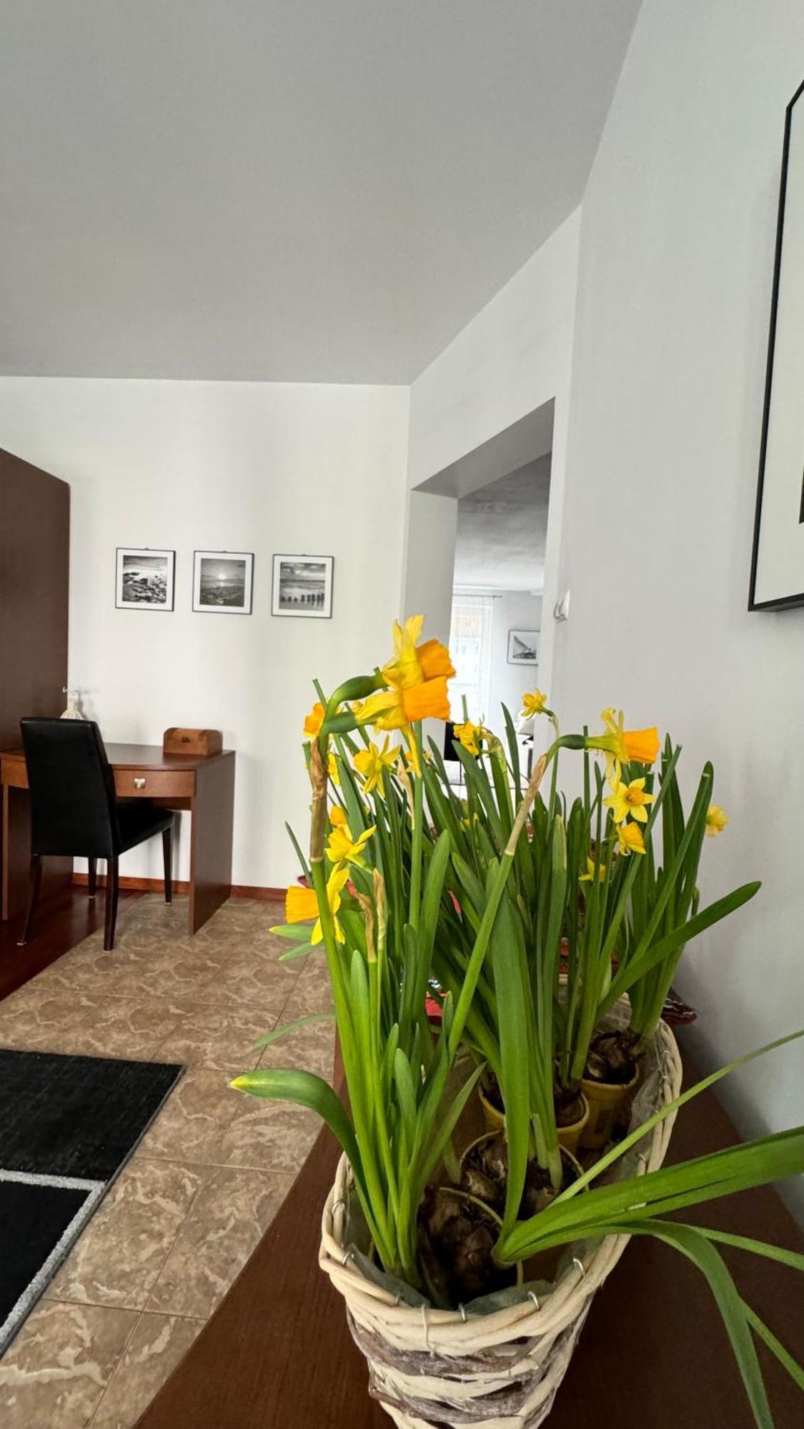 Apartament Rodzinny Kołobrzeg Exterior foto